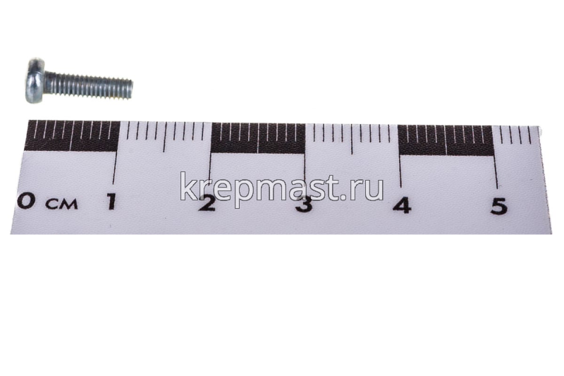 Винт п/цил 3,0х10 DIN 7985