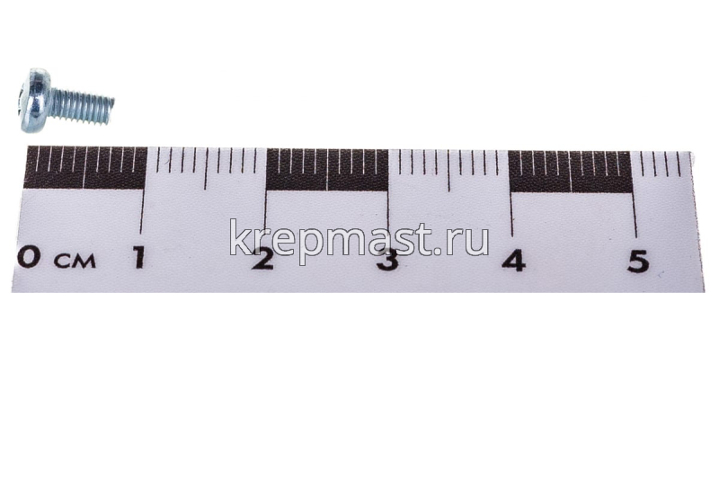 Винт п/цил 3,0х 6 DIN 7985