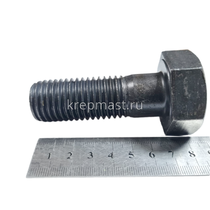 Болт 24х 70 кл.пр.10,9 черный н/р DIN 931