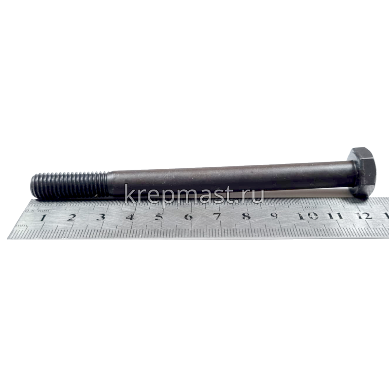 Болт 10х120 кл.пр.10,9 черный Н/р DIN 931